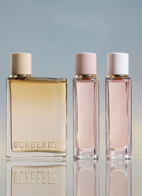 david jones burberry perfume